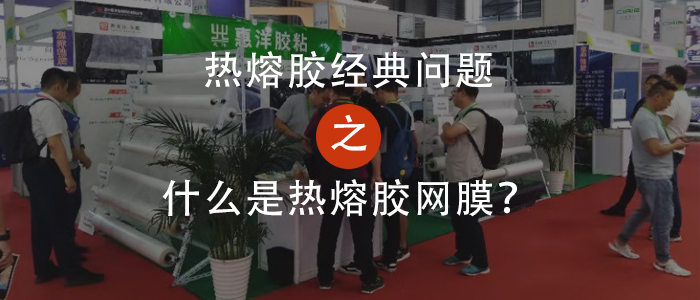 什么是熱熔膠網(wǎng)膜？