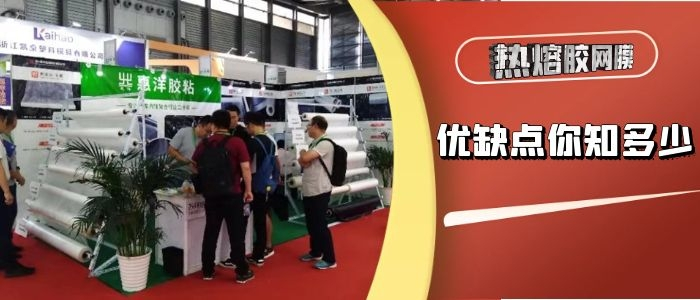 使用熱熔膠網(wǎng)膜復(fù)合的優(yōu)缺點(diǎn)你真的知道嗎